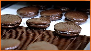 국민간식 초코파이 하루 5000개 만드는 초코파이 공장  How to make Korean Chocolate CakeChoco Pie  korean street food [upl. by Colver]