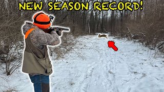 LATE Season Rabbit Hunting w Beagles NEW SEASON RECORD [upl. by Eronel]