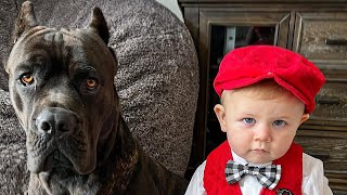 Kid Grows Up With His Giant 125Pound Dog by His Side [upl. by Nycila]