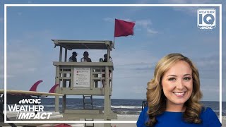 How different beach flags help keep you safe  Weather IQ [upl. by Atneuqal889]