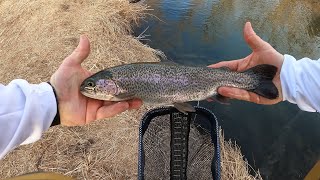 4K GoPro Hero 8 Trout Fishing Kanopolis Seep Stream 02022020 with Mark Pierce [upl. by Dev]