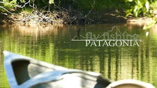 Fly Fishing Patagonia Outfitters [upl. by Delinda764]