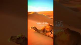 Surah AshShams Urdu translation surahashshams quranstatusvideos whatsappstatus [upl. by Hsenid]