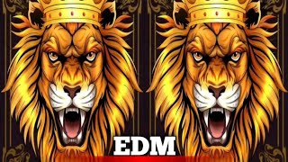 Roadshow Dance Trance Music 2024  EDM Bass Drop Mix  DJ sadhu Lavkushnagar DJsadhuLavkushnagar [upl. by Hurlee801]