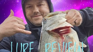 Berkley cull shad lure review [upl. by Aicak]