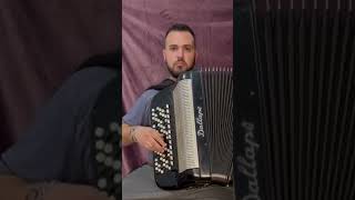 Kafana je moja sudbinaToma Zdravković Cover music accordion cover fyp viralvideo kafana [upl. by Enoryt]