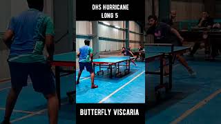 Butterfly Viscaria Vs DHS Hurricane Long 5 🏓🏓🏓 [upl. by Briggs]