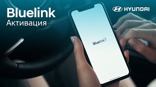 Как настроить BlueLink [upl. by Miguelita]