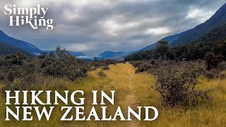 Te Araroa Trail  Taramakau River Valley  4k Virtual Hike [upl. by Aber]