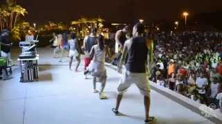 EU AMO BAILE CHARME  no Parque de Madureira 260114 Parte 33 [upl. by Sacttler322]