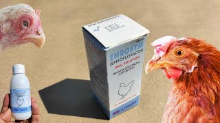 Enrosym  Enrofloxacin  for Chickens and other Livestock  Dr ARSHAD [upl. by Pandolfi]