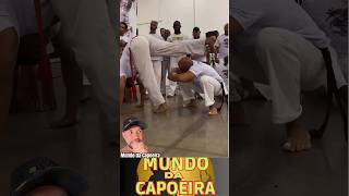 Festival cultural  Jogo de Angola capoeira mundodacapoeira capoeiragem [upl. by Aihsemek]