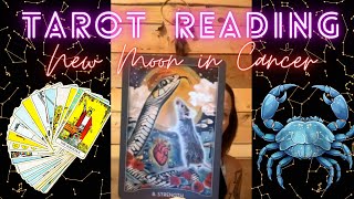 Tarot Reading for Cancer New MoonLunar Cycle amp Punarvasu Nakshatra [upl. by Simpson]