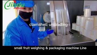 Automatic cherry tomato weighing made EASY with this machine [upl. by Aelber802]