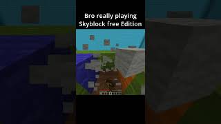 Minecraft Skyblock Free Edition [upl. by Dosh612]