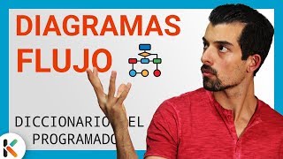 🔷 ¿QUÉ son los DIAGRAMAS de FLUJO en PROGRAMACIÓN Diccionario del PROGRAMADOR [upl. by Enilkcaj371]