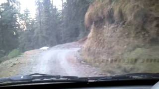 Chandigarh to Mashobra greens hills Off Road Drive  Shimla [upl. by Ramberg731]