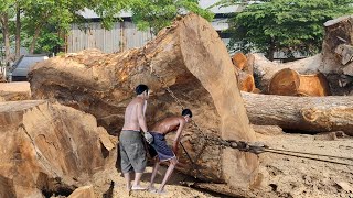 chainsaw sawmill ❗ split hundreds of years old suar wood [upl. by Ettennyl]