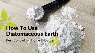 How To Use Diatomaceous Earth  Home amp Garden Pest Control [upl. by Jarnagin583]