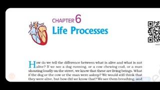 Class10th Life Processes part 1 full explanation हिंदी में [upl. by Eelak]