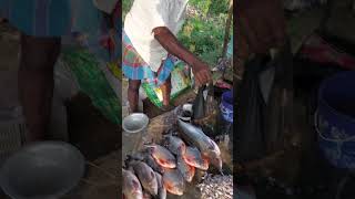 Mo gan re Fish market bangalore food odisha [upl. by Bil]