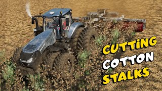 Cutting Cotton Stalks  Farming Simulator 22 [upl. by Laoj32]