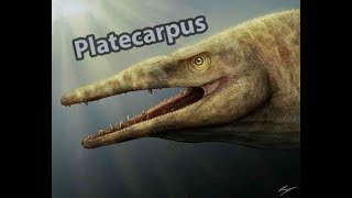 Platecarpus mosasaur  Artlapse Ep19 [upl. by Kirsti]