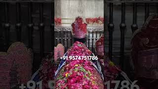 Mira datar dargah Sharif New super hit 2024 🥰 qawwali whatsapp status ❤️ contact 91 9574751786 [upl. by Aedni449]