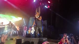 Elephant Man big performance Grace Jamaica jerk Festival in Miami [upl. by Arevle729]