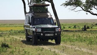 A Day on Safari in the Masai Mara [upl. by Cuthburt]