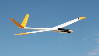 RC Glider EFlite Allusive [upl. by Oicnoel443]