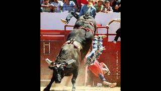 LESIONES DEL JARIPEO [upl. by Anielram]