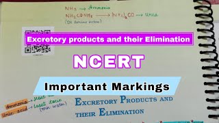 Excretory Products And Their EliminationClass 11NCERTChapter 19Quick Revision SeriesNEETAIIMS [upl. by Aleahs]