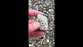 Polishing a Petoskey Stone [upl. by Gimble379]