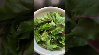 “How To” Prepare Fresh Beet Greens [upl. by Devi]