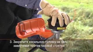 Установка косильной головки STIHL AutoCut C 252 на мотокосу specinstrumentua [upl. by Wellesley]