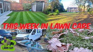 THIS WEEK IN LAWN CARE E40 [upl. by Ellehcer]