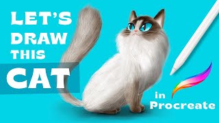 How to Draw a Cat in Procreate [upl. by Melva607]