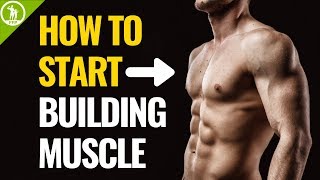 How To Start Building Muscle For Beginners [upl. by Marcel]