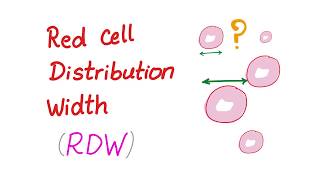 Red Cell Distribution Width RDW  What Does This Lab Test REALLY Mean [upl. by Milzie]