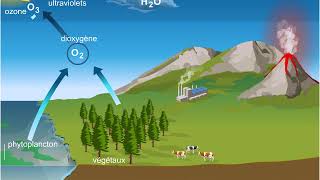 Cycle de loxygène [upl. by Colby]