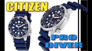 Citizen Promaster Diver watch Nutnfancy [upl. by Tollmann]