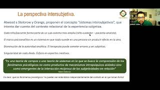 Psicoanálisis Relacional Intersubjetivo R Stolorow amp G Atwood [upl. by Brier896]