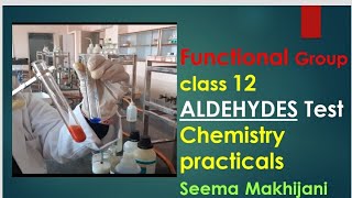 Organic Functional group test for Aldehyde Tollens and Fehlings Class 12 by Seema Makhijani [upl. by Anahsak]