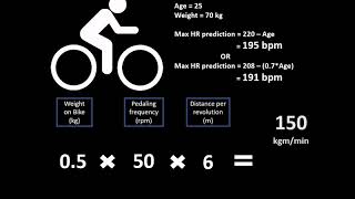 YMCA Protocol  Submaximal exercise test for predicting VO2max [upl. by Aronos]