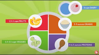 Nutrition Importance of the Five Food Groups [upl. by Sirmons]