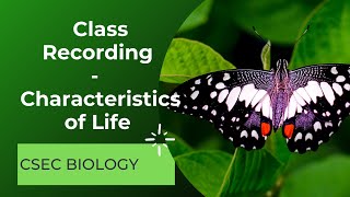 Characteristics of Life  CSEC Biology  HSB [upl. by Immaj]