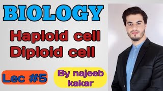 Haploid and diploid cell  Difference between Haploid and diploid  By najeeb kakar [upl. by Chrystal659]