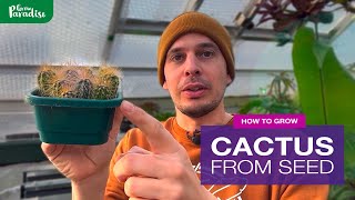 How to grow Cactus from seeds  Stepbystep guide [upl. by Hardej343]