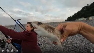 THE FISH ARE WEARING FACE MASKS AGAIN  seafishinguk beachfishing bristolchannel [upl. by Acsot342]